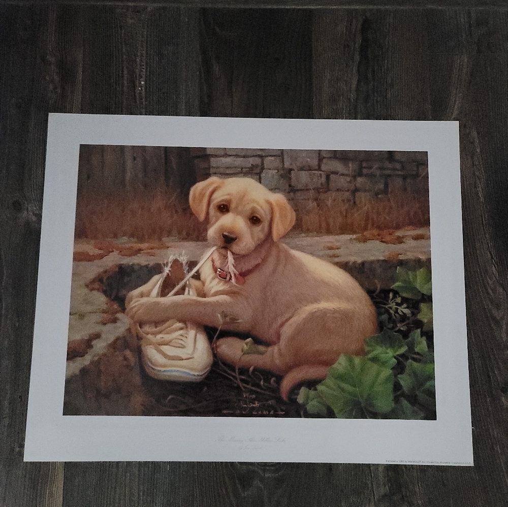The Missing Shoe Yellow Lab Limited Edition Print